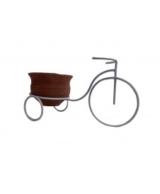 Mini bicicleta o triciclo de jardín para plantas pequeñas | MallHabana