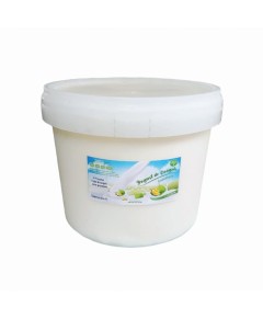 Yogurt de coágulo sabor guanábana 4L | MallHabana