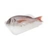 Pargo entero 3kg | Mallhabana